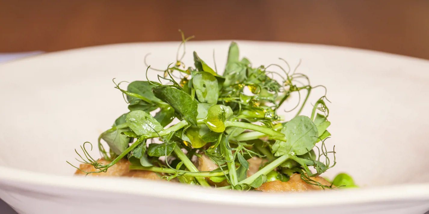 healthy grreen leave to eat